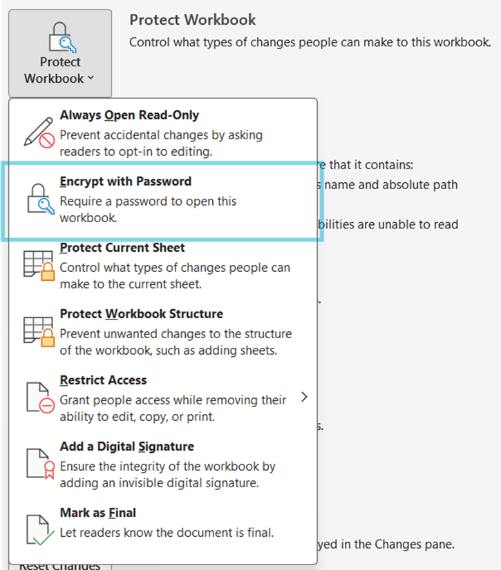 Excel Encrypt with Password option