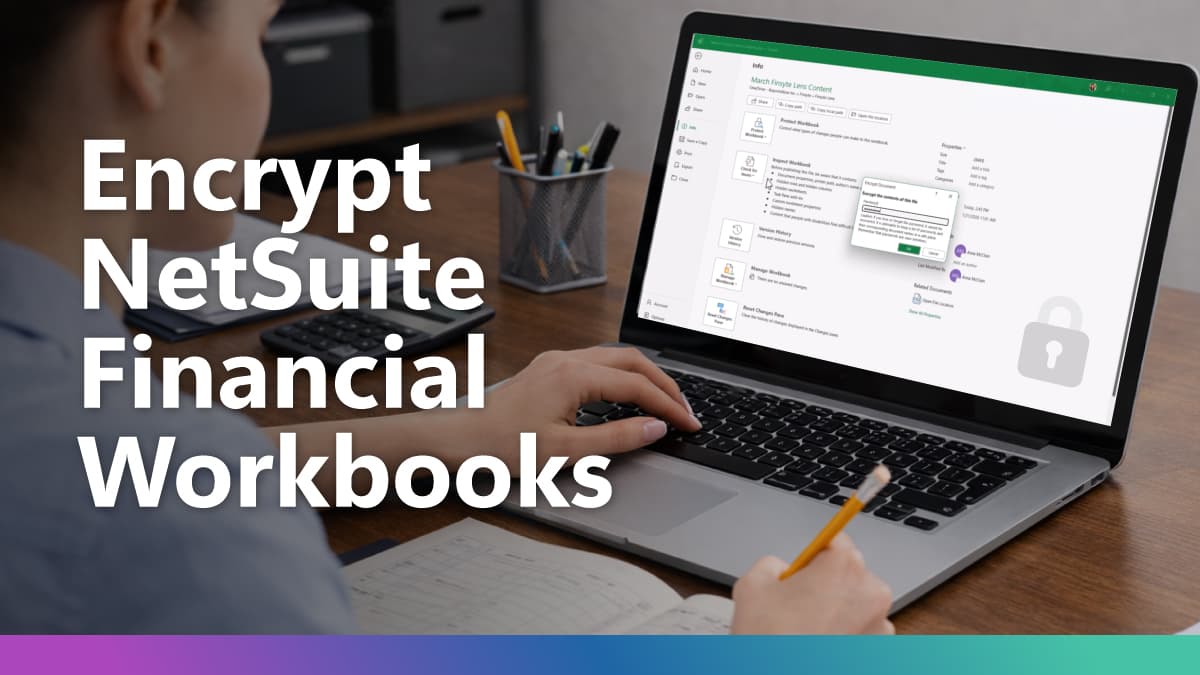 Why Password Protecting Excel Financial Workbooks Matters for NetSuite Finance & Accounting Teams